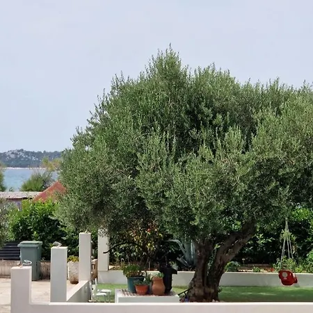 Mirjana Appartement Vodice